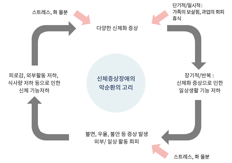 신체증상장애의 악순환의 고리 -> 다양한 신체적 증상 (스트레스, 화 울분, 단기적/일시적 : 가족의 보살핌 )  -> 과업의 회피 휴식 -> 장기적/반복 :  신체화 증상으로 인한 일상생활 기능 저하 -> 불면, 우울, 불안 등 증상 발생 외부/ 일상 활동 회피 -> 피로감, 외부활동 저하, 식사량 저하 등으로 인한 신체 기능저하