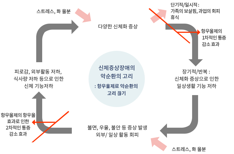 신체증상장애의 악순환의 고리 : 항우울제로 악순환의 고리 끊기스트레스, 화 울분 -> 다양한 신체화 증상 ( 1.단기적/일시적 : 가족의 보살핌, 과업의 회피 휴식  2. 항우울제의  1차적인 통증  감소 효과 ) -> 장기적/반복 : 신체적 증상으로 인한 일상생활 기능 저하 -> 불편, 우울, 불안 등 증상 발생 , 외부/ 일상 활동 회피 (항우울제의 항우울 효과로 인한  2차적인 통증 감소 효과 ) ->  피로감, 외부활동 저하, 식사량 저하 등으로 인한 신체 기능저하