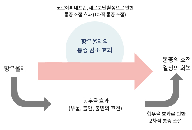 항우울제 [ 노르에피네프린, 세로토닌 활성으로 인한 통증 조절 효과- 1차적 통증 조절 ( 우울, 불안, 불면의 호전) ]  -> 항우울 효과로 인한 2차적 통증 조절 -> 통증의 호전 일상의 회복 